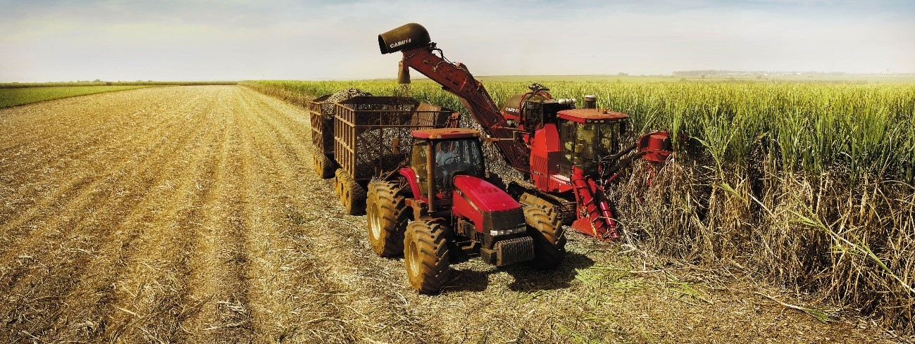 Curso Domine o Midjourney